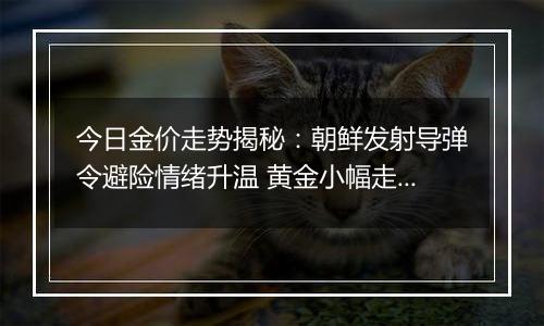 今日金价走势揭秘：朝鲜发射导弹令避险情绪升温 黄金小幅走强