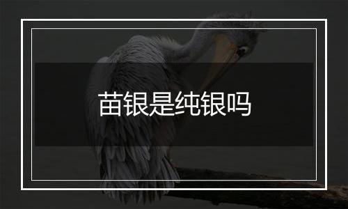 苗银是纯银吗