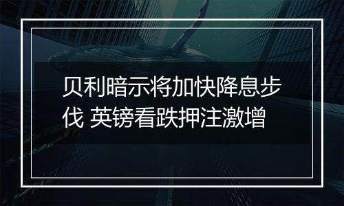 贝利暗示将加快降息步伐 英镑看跌押注激增