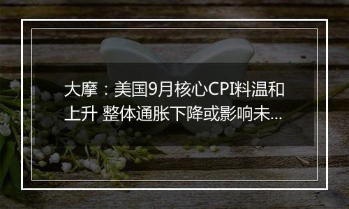 大摩：美国9月核心CPI料温和上升 整体通胀下降或影响未来利率决策