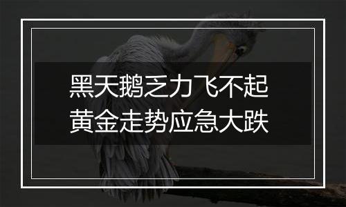 黑天鹅乏力飞不起 黄金走势应急大跌