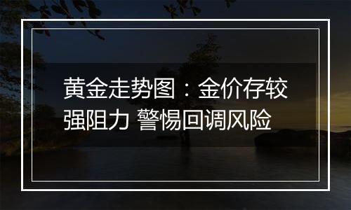 黄金走势图：金价存较强阻力 警惕回调风险