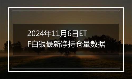 2024年11月6日ETF白银最新净持仓量数据