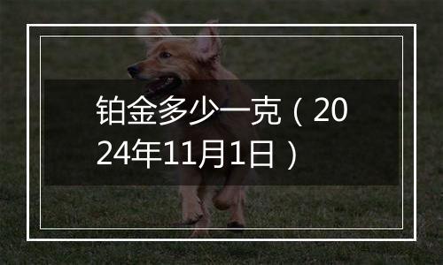 铂金多少一克（2024年11月1日）