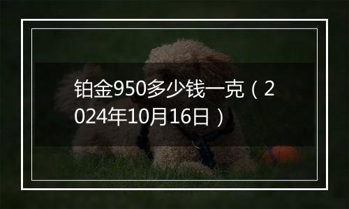 铂金950多少钱一克（2024年10月16日）