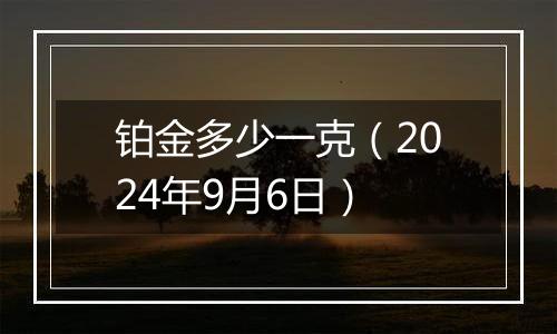 铂金多少一克（2024年9月6日）