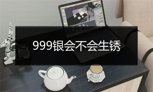 999银会不会生锈