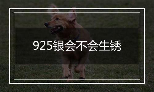 925银会不会生锈