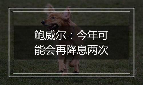 鲍威尔：今年可能会再降息两次