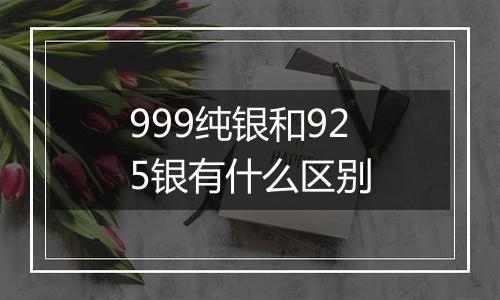 999纯银和925银有什么区别