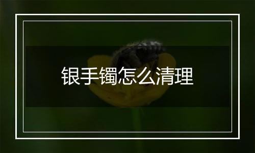 银手镯怎么清理