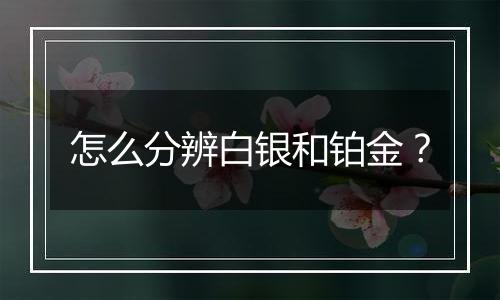 怎么分辨白银和铂金？