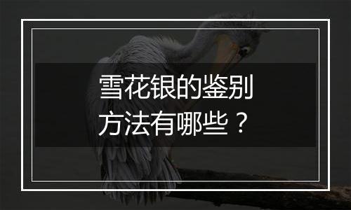 雪花银的鉴别方法有哪些？