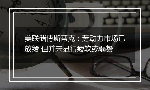 美联储博斯蒂克：劳动力市场已放缓 但并未显得疲软或弱势