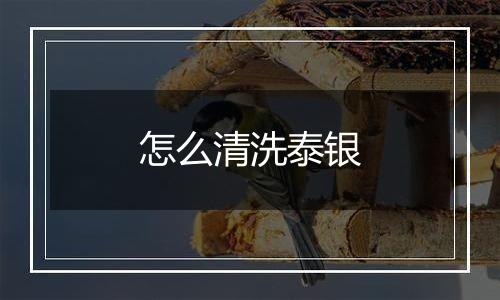 怎么清洗泰银