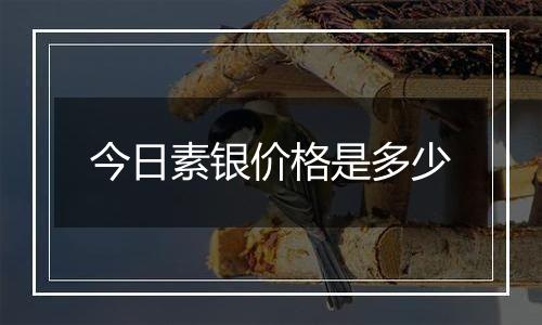 今日素银价格是多少