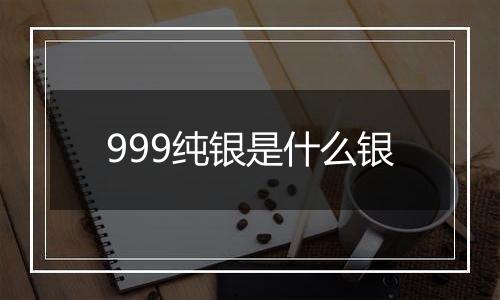 999纯银是什么银