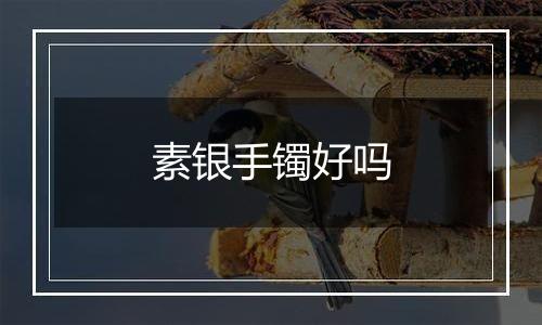 素银手镯好吗