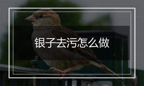 银子去污怎么做