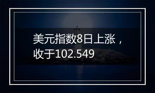 美元指数8日上涨，收于102.549