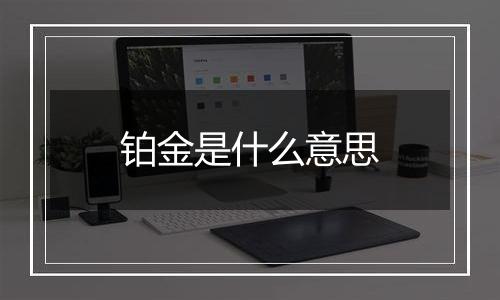 铂金是什么意思