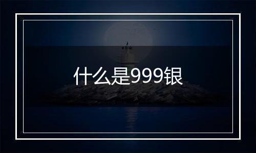 什么是999银