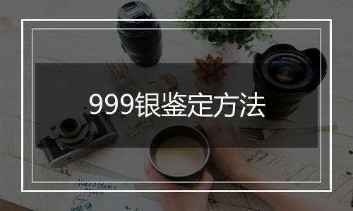 999银鉴定方法