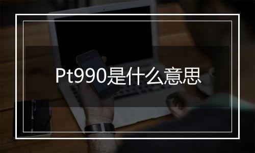 Pt990是什么意思