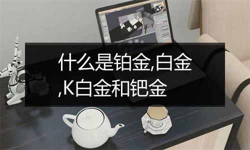 什么是铂金,白金,K白金和钯金