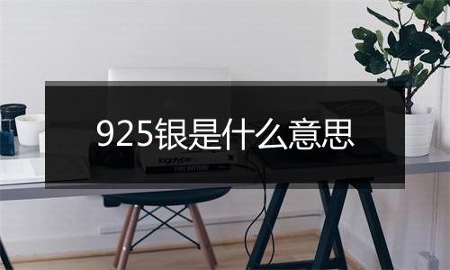 925银是什么意思