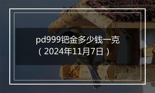 pd999钯金多少钱一克（2024年11月7日）