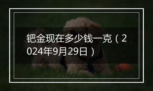 钯金现在多少钱一克（2024年9月29日）