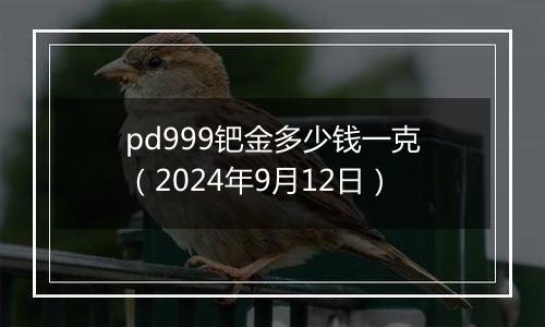 pd999钯金多少钱一克（2024年9月12日）