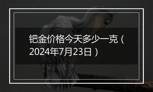 钯金价格今天多少一克（2024年7月23日）