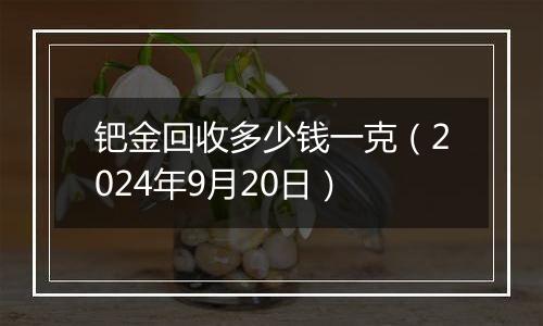 钯金回收多少钱一克（2024年9月20日）