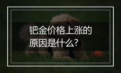 钯金价格上涨的原因是什么?