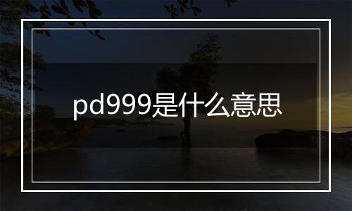 pd999是什么意思