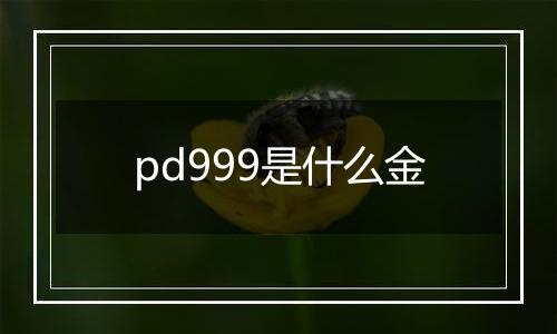 pd999是什么金