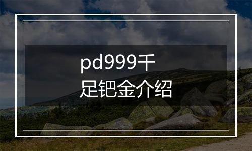 pd999千足钯金介绍