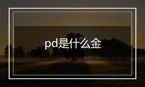 pd是什么金