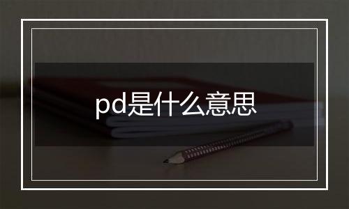 pd是什么意思