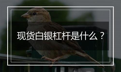 现货白银杠杆是什么？