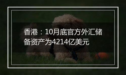 香港：10月底官方外汇储备资产为4214亿美元