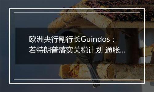 欧洲央行副行长Guindos：若特朗普落实关税计划 通胀面临巨大冲击