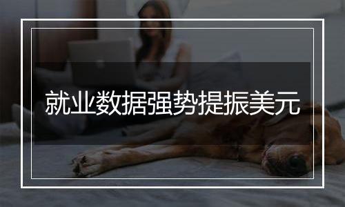 就业数据强势提振美元