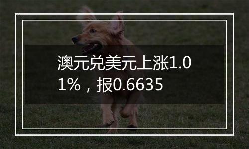 澳元兑美元上涨1.01%，报0.6635