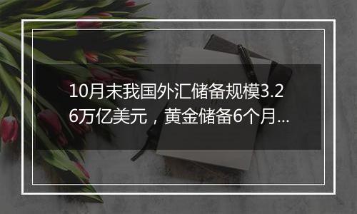 10月末我国外汇储备规模3.26万亿美元，黄金储备6个月不变