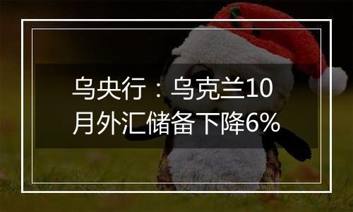 乌央行：乌克兰10月外汇储备下降6%