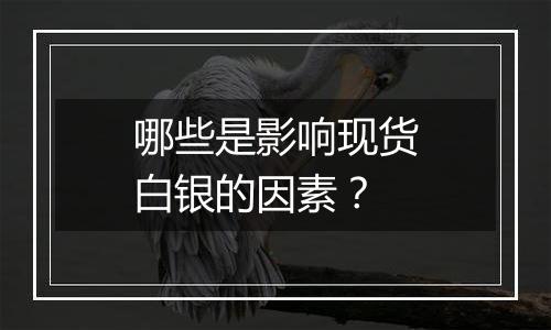 哪些是影响现货白银的因素？