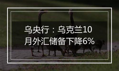 乌央行：乌克兰10月外汇储备下降6%